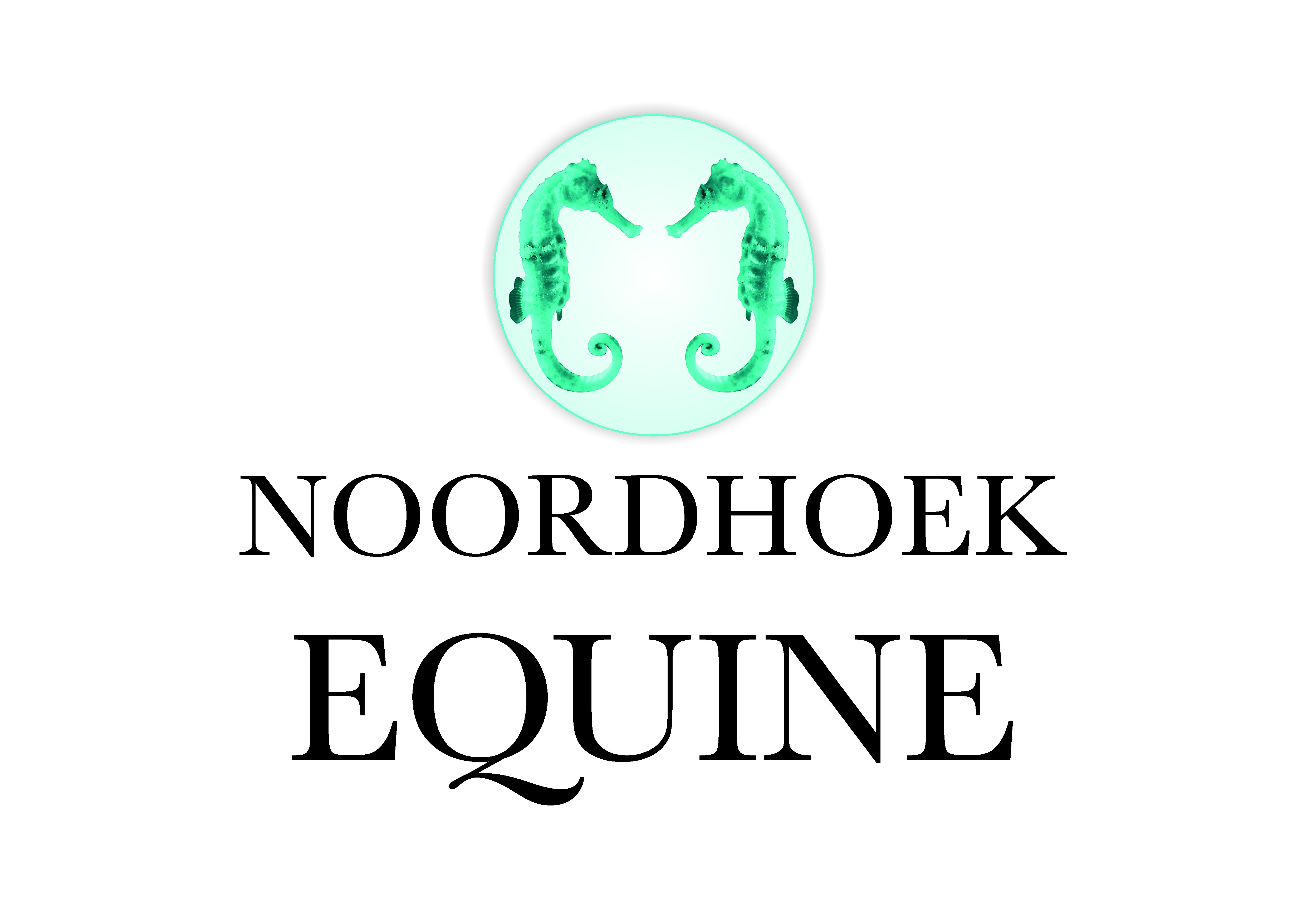 Noordhoek Equine